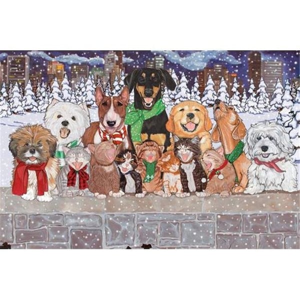 Pipsqueak Productions Pipsqueak Productions C514 Mix Dog With Cat Holiday Boxed Cards C514 - main
